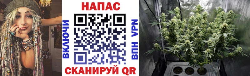 Бошки Шишки VHQ  Феодосия 